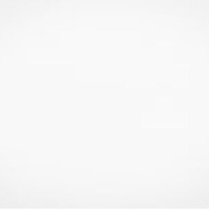 Patricia Nash Chiavella Gold Hardware Phone Crossbody Bag